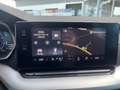 Skoda Octavia Premium TDI DSG Schwarz - thumbnail 20
