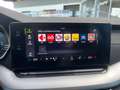 Skoda Octavia Premium TDI DSG Schwarz - thumbnail 23