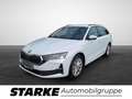 Skoda Octavia Combi 1.5 TSI DSG 110 kW Selection Weiß - thumbnail 2