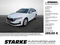 Skoda Octavia Combi 1.5 TSI DSG 110 kW Selection Weiß - thumbnail 1
