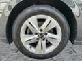 Volkswagen Golf VIII 1.0TSI LIFE LED+ACC+NAV+APP+SHZ+GRA+VC Grau - thumbnail 8