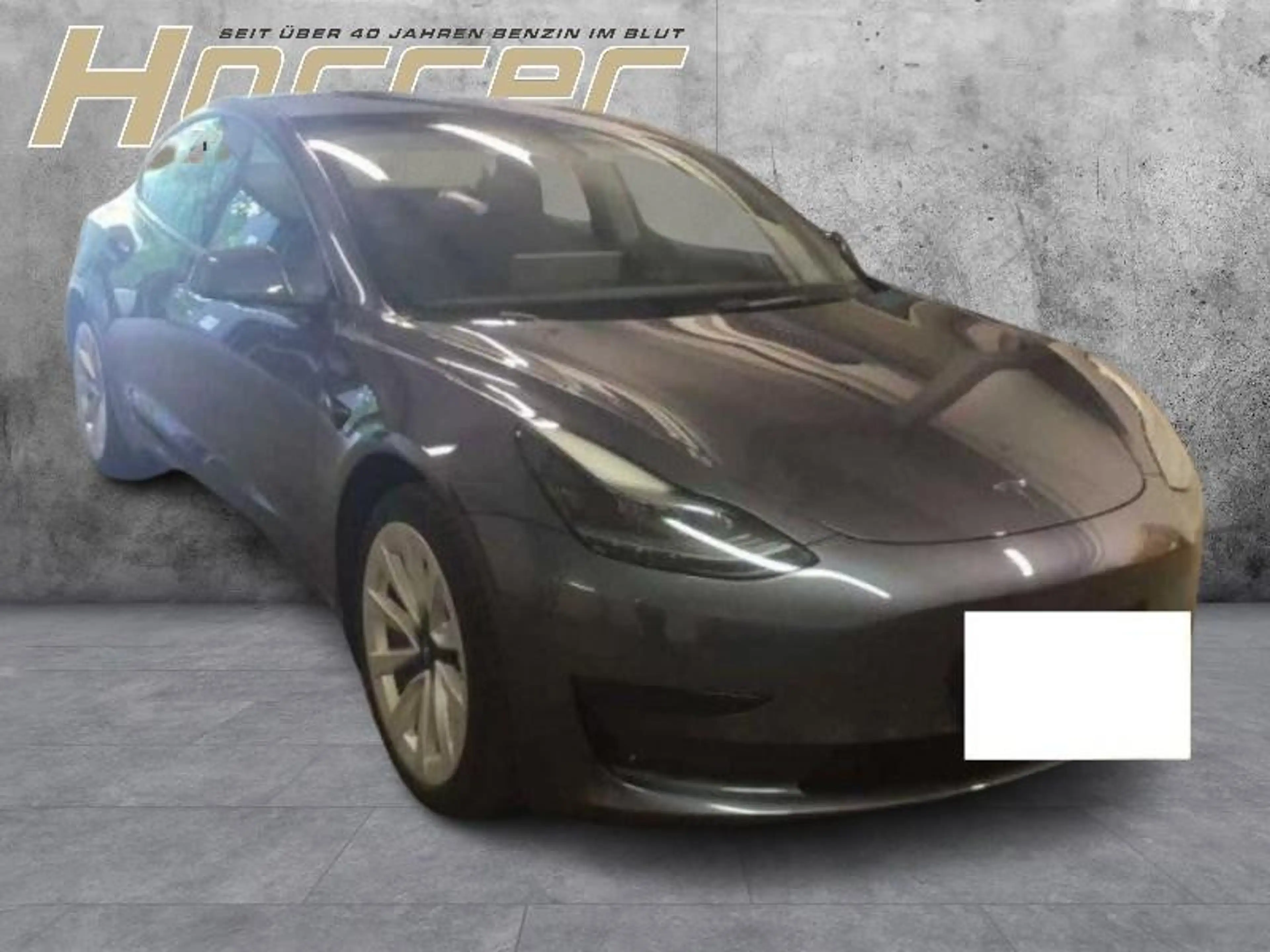 Tesla Model 3 Basis RWD A.Pilot Glasdach — photo 2