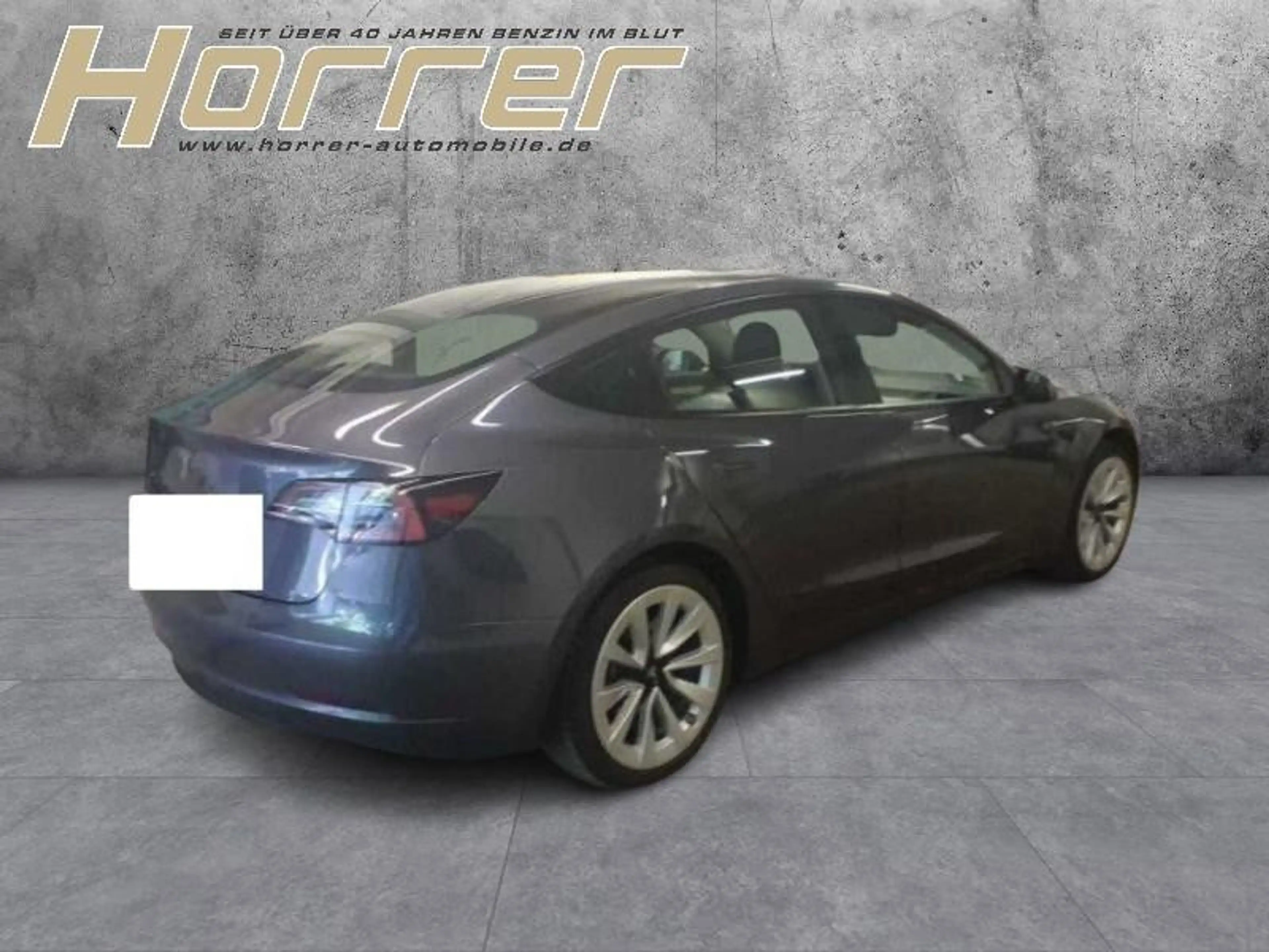 Tesla Model 3 Basis RWD A.Pilot Glasdach — photo 4