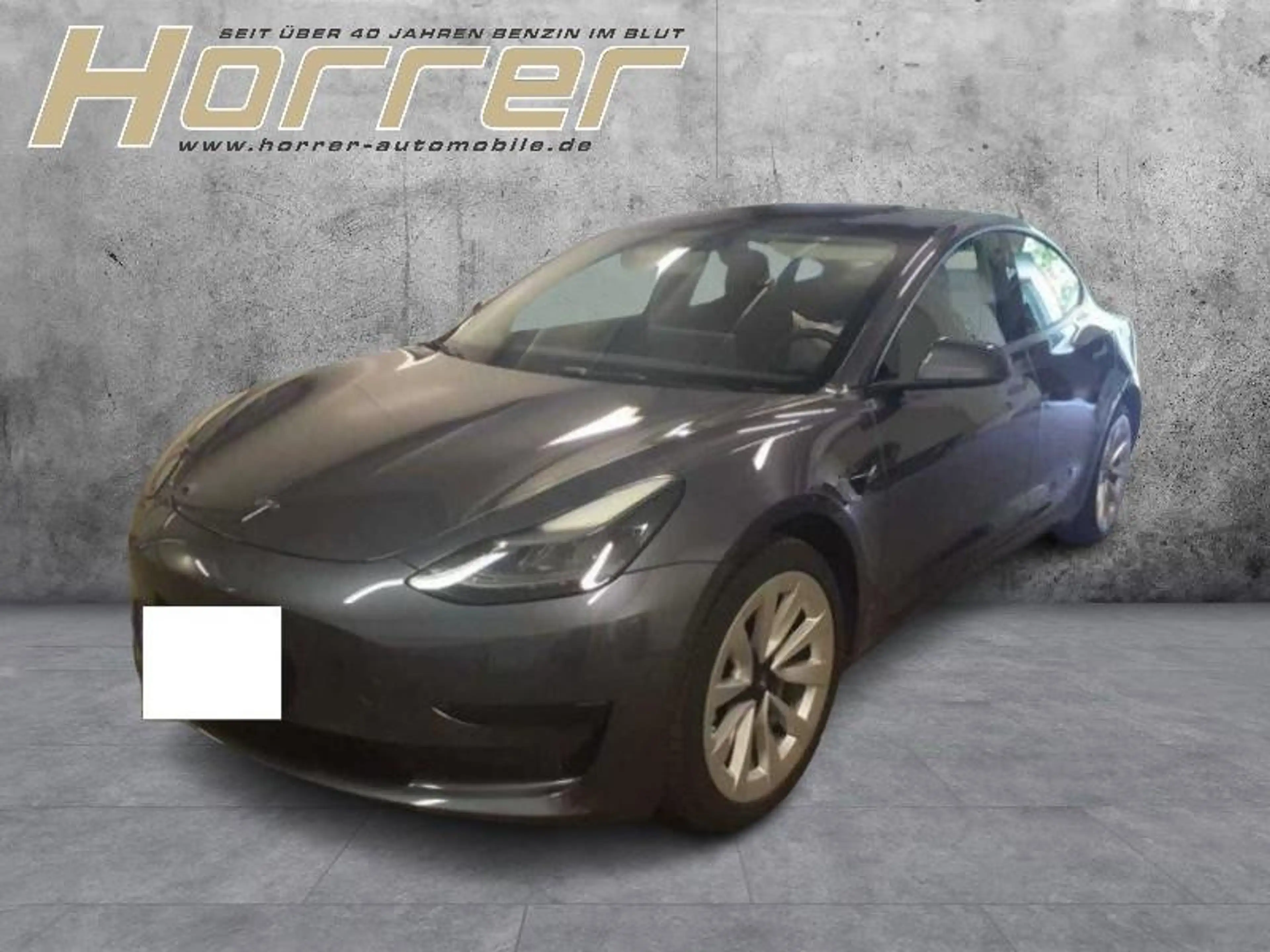 Tesla Model 3 Basis RWD A.Pilot Glasdach
