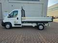 Citroen Jumper 35 ONNICAR RIBALTABILE TRILATERALE 35Q Bianco - thumbnail 5