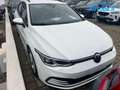 Volkswagen Golf Variant 2.0 TDI Life AppConnect, Virtual, ACC, Km certific Bianco - thumbnail 2