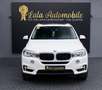 BMW X5 xDrive 3.0 LEDER HEAD-UP KLIMA SPURHALTE NAVI Weiß - thumbnail 2