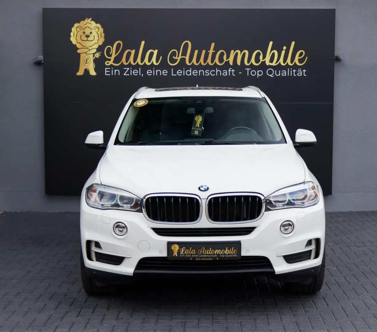 BMW X5 xDrive 3.0 LEDER HEAD-UP KLIMA SPURHALTE NAVI Weiß - 2