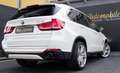 BMW X5 xDrive 3.0 LEDER HEAD-UP KLIMA SPURHALTE NAVI Weiß - thumbnail 6