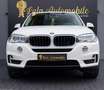 BMW X5 xDrive 3.0 LEDER HEAD-UP KLIMA SPURHALTE NAVI Weiß - thumbnail 3