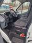 Ford Transit 2,0 L3H3 350 Transporter (Ladeboard + Kühler ) Weiß - thumbnail 10