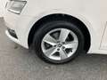 Skoda Octavia Ambition TDI Blanc - thumbnail 10