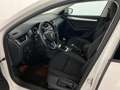 Skoda Octavia Ambition TDI Weiß - thumbnail 13
