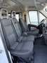 Fiat Ducato Ducato Panorama 30 L1H1 130 Multijet Panorama Weiß - thumbnail 6