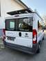 Fiat Ducato Ducato Panorama 30 L1H1 130 Multijet Panorama Weiß - thumbnail 4