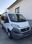 Fiat Ducato Ducato Panorama 30 L1H1 130 Multijet Panorama Weiß - thumbnail 3
