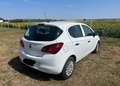 Opel Corsa Corsa 1,2 Cool Weiß - thumbnail 4