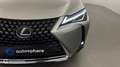 Lexus UX 250h 250h 2WD Pack Business MY20 - thumbnail 17