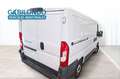 Fiat Ducato Furgón 30 L1H1 2.3 Multijet Business Blanco - thumbnail 5