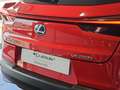 Lexus UX 250h Business 2WD Rot - thumbnail 38