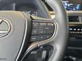 Lexus UX 250h Business 2WD Rot - thumbnail 18
