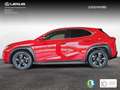 Lexus UX 250h Business 2WD Rot - thumbnail 6