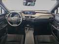 Lexus UX 250h Business 2WD Rot - thumbnail 14