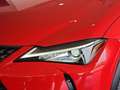 Lexus UX 250h Business 2WD Rot - thumbnail 36