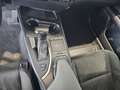 Lexus UX 250h Business 2WD Rot - thumbnail 27