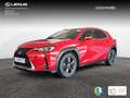 Lexus UX 250h Business 2WD Rot - thumbnail 4