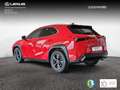 Lexus UX 250h Business 2WD Rot - thumbnail 5