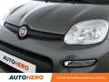 Fiat Panda 1.0 Hybride BSG Sport Gris - thumbnail 25