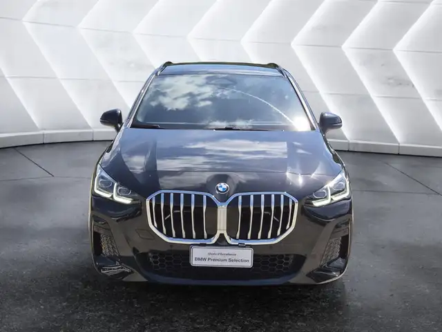 BMW 2 Series view 2