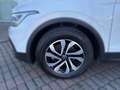 Volkswagen Tiguan 2.0 TDI DSG ACTIVE *AHK *360° *LED ACC *APP-CONN Blanc - thumbnail 7