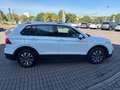 Volkswagen Tiguan 2.0 TDI DSG ACTIVE *AHK *360° *LED ACC *APP-CONN Blanc - thumbnail 17