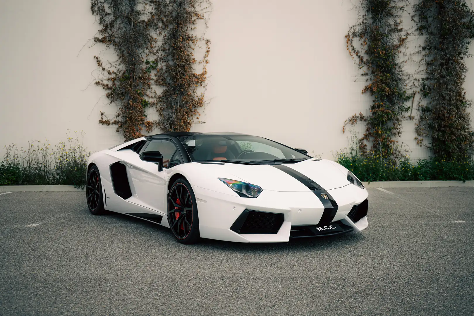 Lamborghini Aventador LP 700-4 Roadster - Full Lamborghini history Weiß - 2