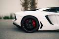 Lamborghini Aventador LP 700-4 Roadster - Full Lamborghini history Weiß - thumbnail 14
