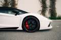 Lamborghini Aventador LP 700-4 Roadster - Full Lamborghini history Weiß - thumbnail 13