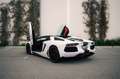 Lamborghini Aventador LP 700-4 Roadster - Full Lamborghini history Weiß - thumbnail 6
