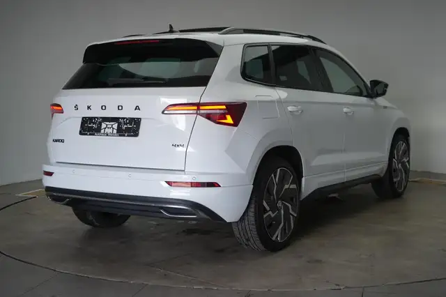 Skoda Karoq view 4