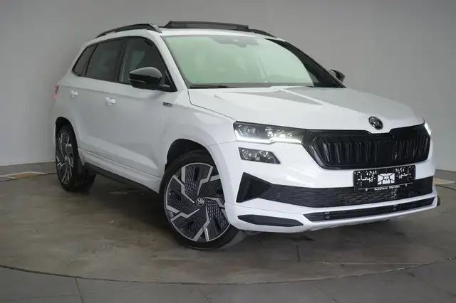 Skoda Karoq main image