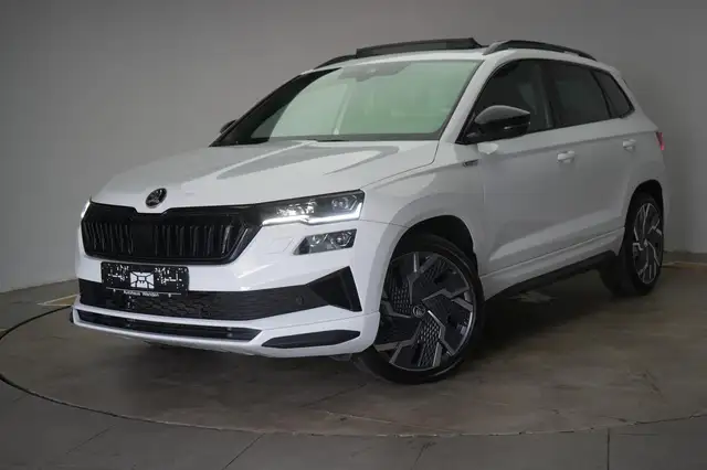 Skoda Karoq view 3