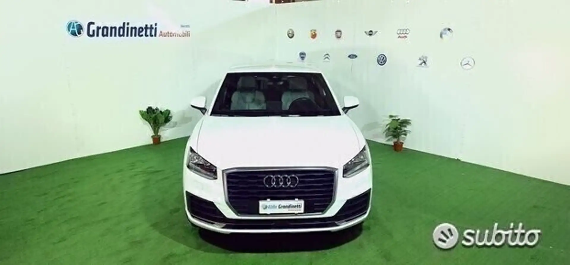 Audi Q2 Q2 1.6 TDI Alb - 2