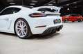 Porsche Cayman 718 4.0 GT4 420 ch Белый - thumbnail 12
