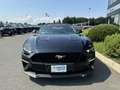 Ford Mustang GT CABRIOLET 5.0L V8 BVA Noir - thumbnail 9