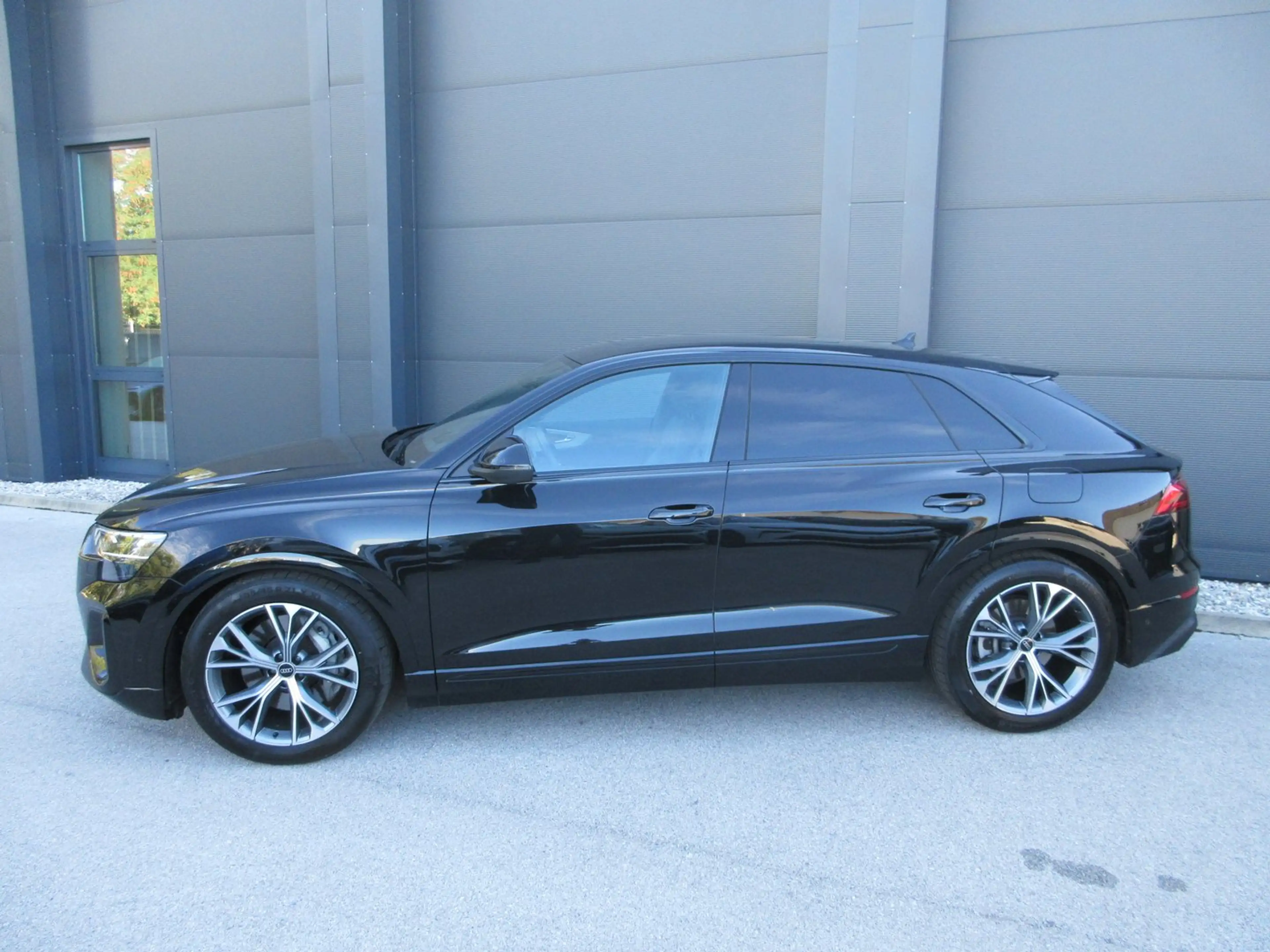 Audi Q8 e-hybrid quattro 290 kW — photo 2