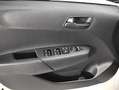 Kia Picanto 1.0 GDI 68CV Active AMT Blanco - thumbnail 16