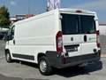 Fiat Ducato Natural Power *CNG*AHK* Weiß - thumbnail 8
