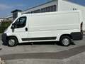 Fiat Ducato Natural Power *CNG*AHK* Weiß - thumbnail 9