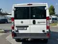 Fiat Ducato Natural Power *CNG*AHK* Weiß - thumbnail 7